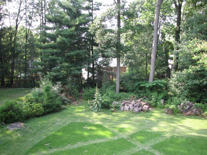 Picture of the back yard